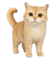 Spinach cream-gold cat Codex pet